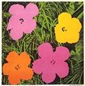 Warhol FLOWER 1964
