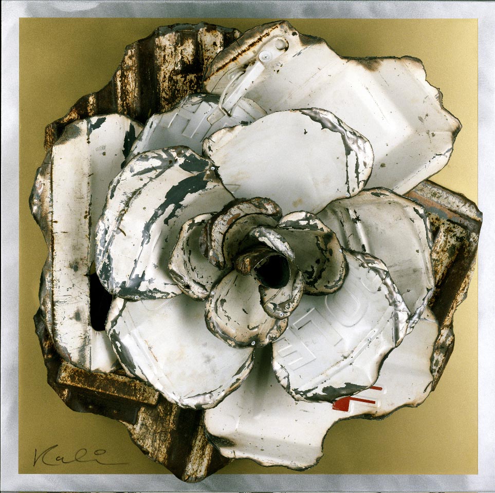 Kalish UNTITLED FLORAL 4