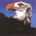 Warhol BALD EAGLE (296)